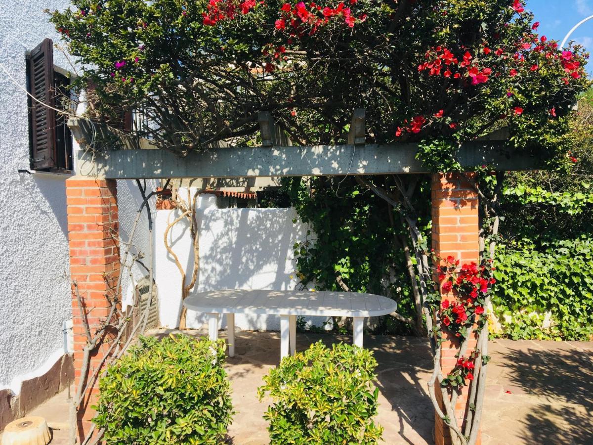 Apartamentos Tres Playas Altamar 阿尔考斯布里 外观 照片